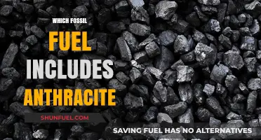 Anthracite: The High-Rank Coal Classified as a Fossil Fuel
