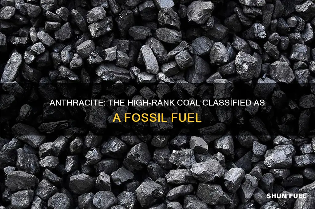 which fossil fuel includes anthracite