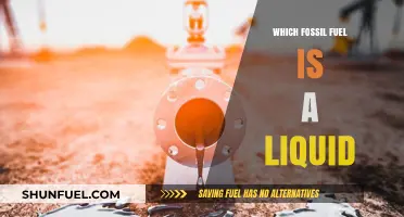Liquid Fossil Fuel: Understanding the Role of Oil in Energy