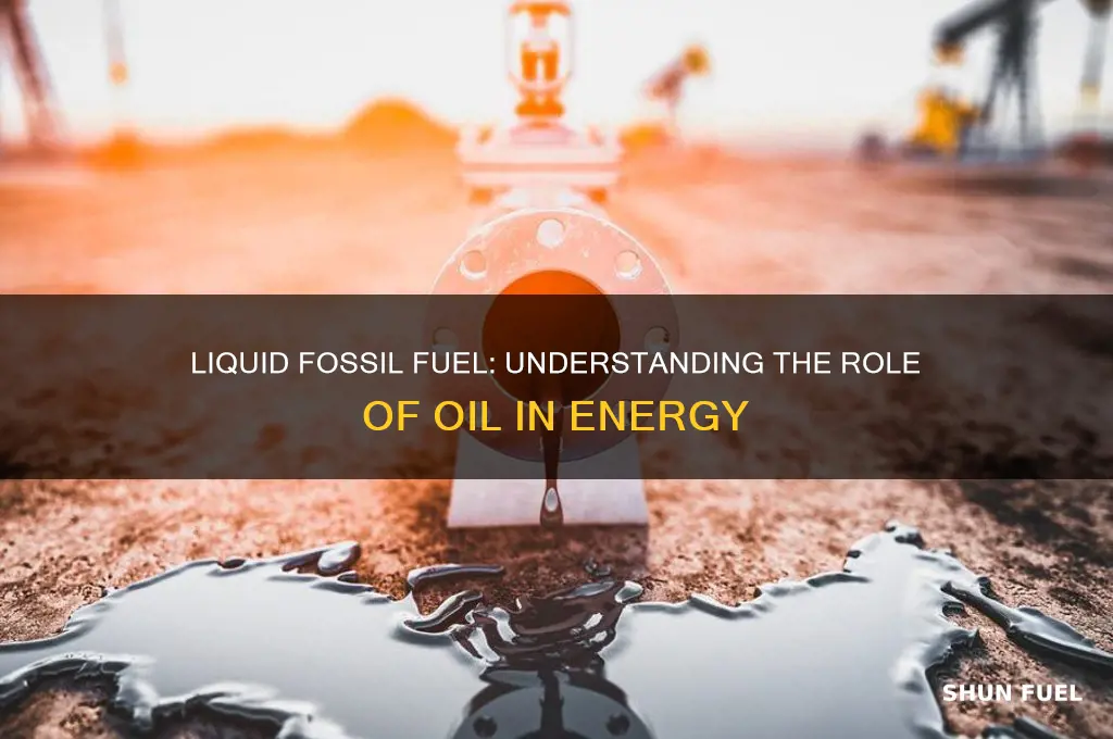 which fossil fuel is a liquid