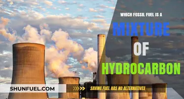 Understanding the Hydrocarbon Blend: Which Fossil Fuel is a Mixture?