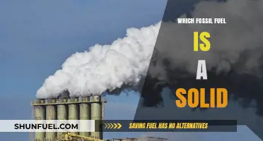 Solid Fossil Fuel: Identifying the Earth's Ancient Energy Source