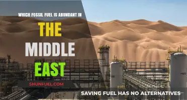 Middle East's Dominant Fossil Fuel: Unveiling the Region's Abundant Resource