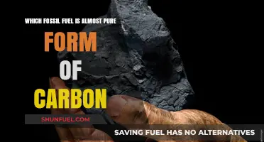 Unveiling the Fossil Fuel: A Nearly Pure Carbon Source Revealed