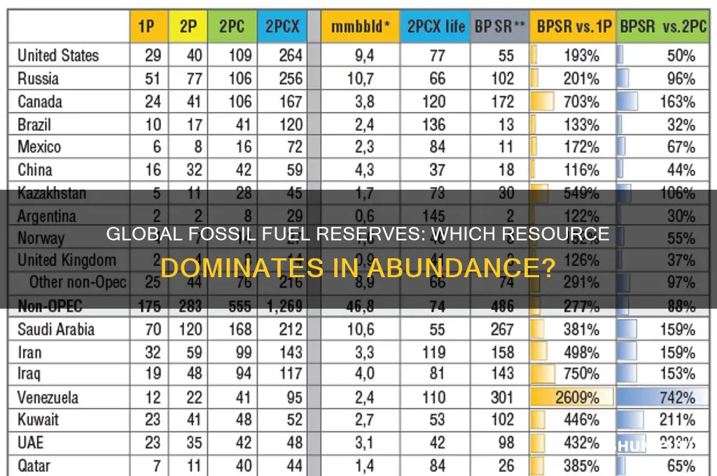 which fossil fuel is available in greatest quantities