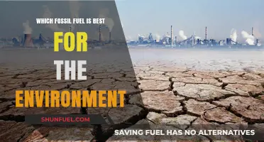 Comparing Fossil Fuels: Which Option Minimizes Environmental Impact?
