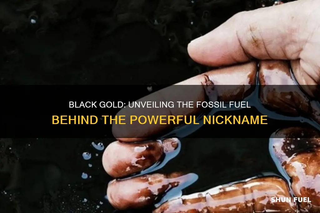 which fossil fuel is called black gold