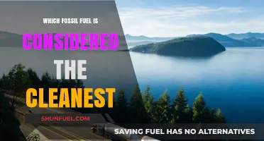 Exploring the Cleanest Fossil Fuel: Natural Gas vs. Coal vs. Oil