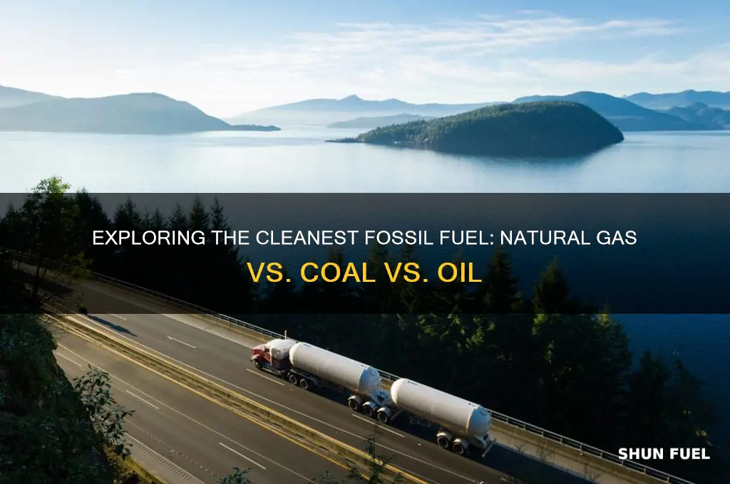 which fossil fuel is considered the cleanest