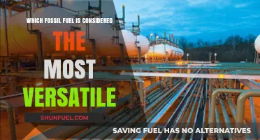 Natural Gas: The Most Versatile Fossil Fuel and Why It Matters