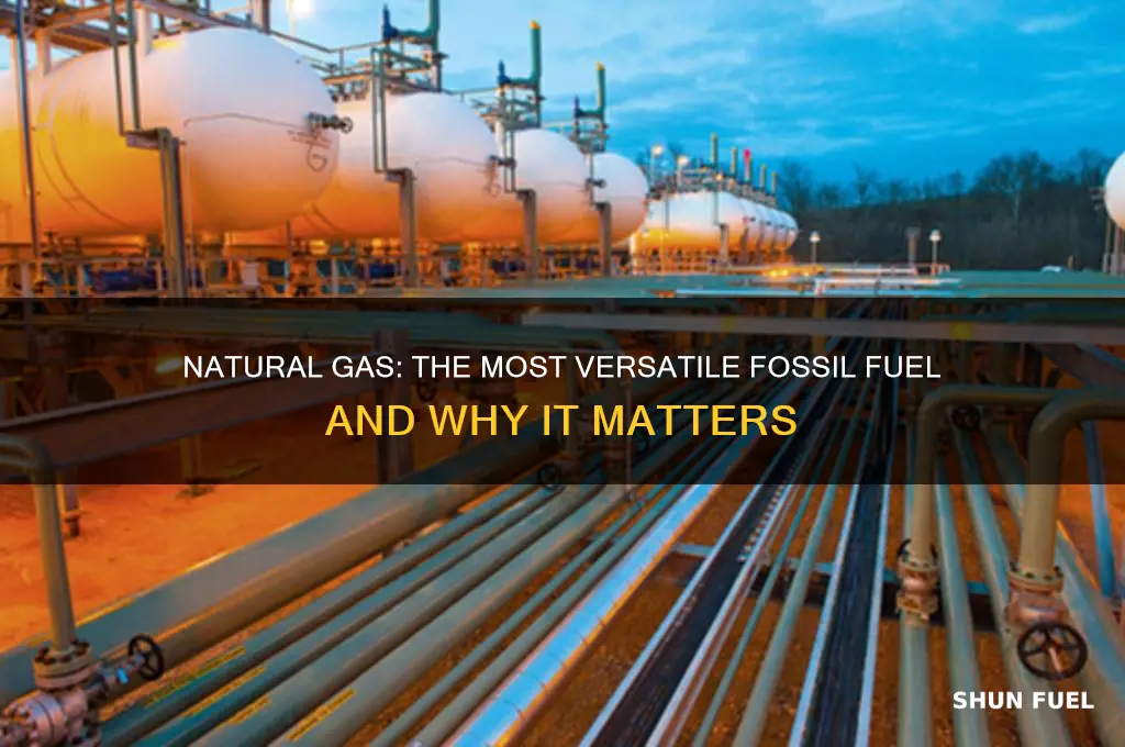 which fossil fuel is considered the most versatile