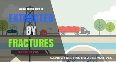 Fracking for Fuel: Extracting Shale Gas Through Fractures