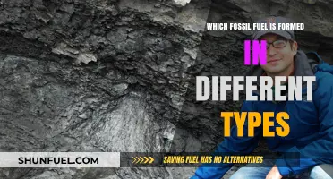 Exploring the Diverse Formation Types of Fossil Fuels