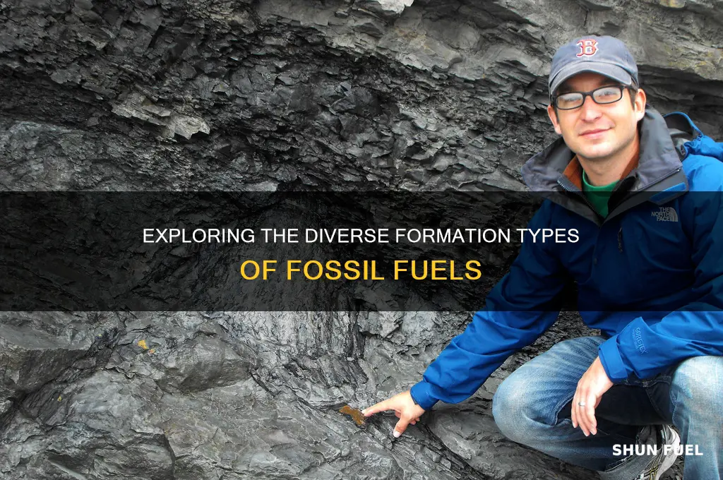 which fossil fuel is formed in different types