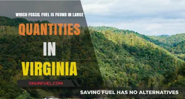 Virginia's Abundant Fossil Fuel: Uncovering the State's Coal Reserves