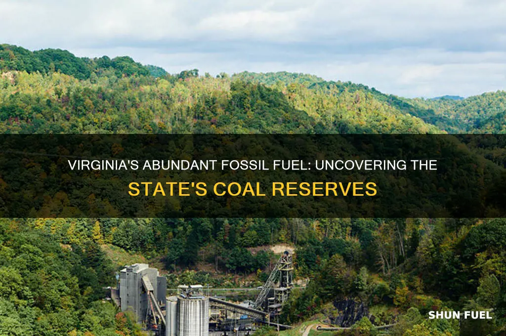 which fossil fuel is found in large quantities in virginia