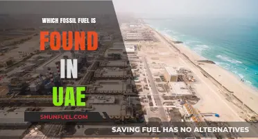 UAE's Energy Source: Uncovering the Dominant Fossil Fuel in the Region