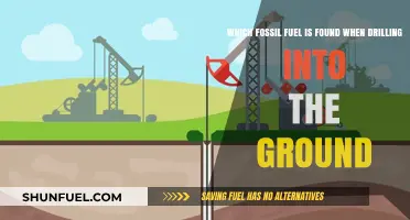 Uncovering Earth's Energy: Which Fossil Fuel Lies Beneath the Surface?