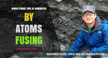 Fossil Fuel Myth: No Atoms Fuse in Coal, Oil, or Gas Formation