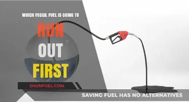 Which Fossil Fuel Faces Imminent Depletion: Coal, Oil, or Gas?