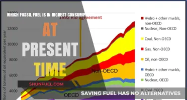 Global Energy Dominance: Which Fossil Fuel Leads Current Consumption?
