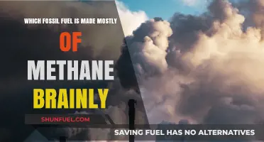 Methane's Dominance: Unveiling the Fossil Fuel with Highest Methane Content