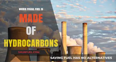 Understanding Hydrocarbons: The Fossil Fuel Composition Explained