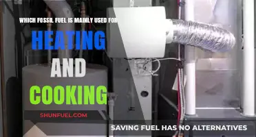 Natural Gas: The Primary Fossil Fuel for Heating and Cooking