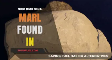 Understanding Marl: Its Origin in Fossil Fuel Deposits Explained