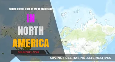 North America's Dominant Fossil Fuel: Unveiling the Most Abundant Resource