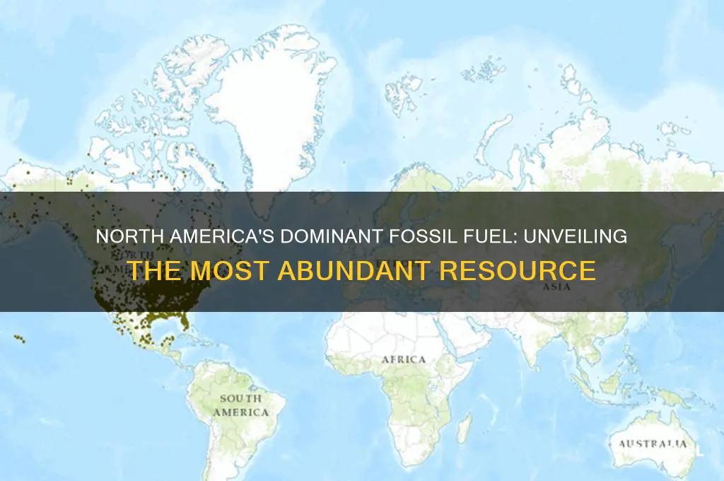 which fossil fuel is most abundant in north america