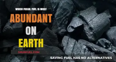Earth's Most Abundant Fossil Fuel: Unveiling the Dominant Energy Source