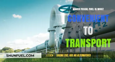 Convenient Fossil Fuel Transport: Which Energy Source Leads the Way?