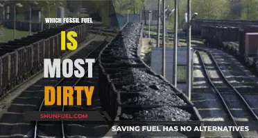 The Dirtiest Fossil Fuel: Uncovering the Worst Polluter and Its Impact