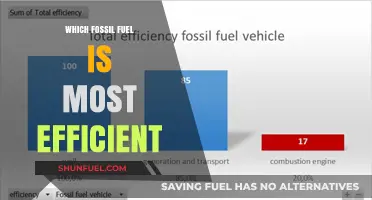 Comparing Fossil Fuels: Which Energy Source Offers Maximum Efficiency?