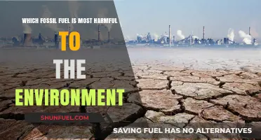 Coal vs. Oil vs. Gas: Which Fossil Fuel Causes Most Environmental Harm?