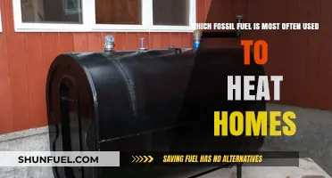 Natural Gas Dominates as the Primary Home Heating Fuel Source