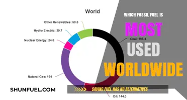 Global Energy Dominance: The Most Used Fossil Fuel Worldwide