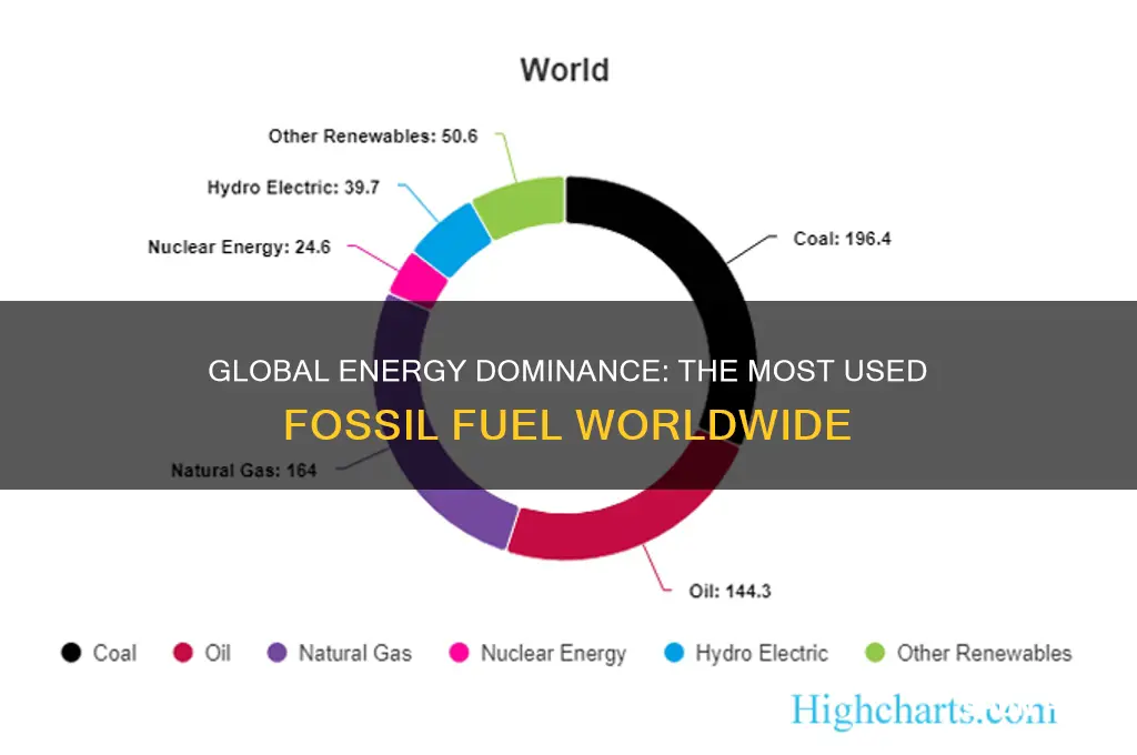 which fossil fuel is most used worldwide