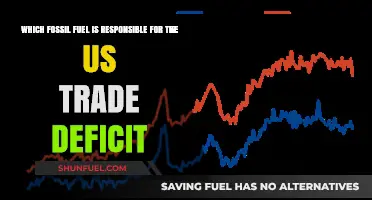 How Oil Imports Drive America's Persistent Trade Deficit