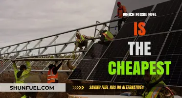 Comparing Costs: Which Fossil Fuel Offers the Lowest Price Today?