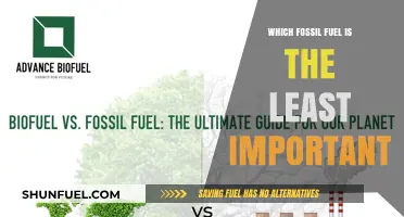The Least Significant Fossil Fuel: A Comparative Analysis of Energy Sources