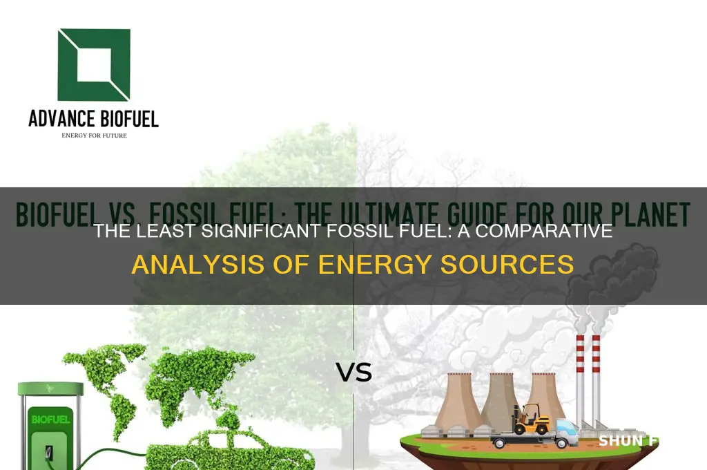 which fossil fuel is the least important