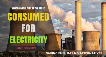 Coal Dominates: The Most Consumed Fossil Fuel for Electricity Generation