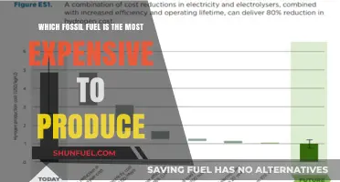 The Costliest Fossil Fuel: Production Expenses Compared and Explained