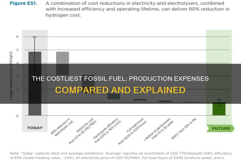 which fossil fuel is the most expensive to produce