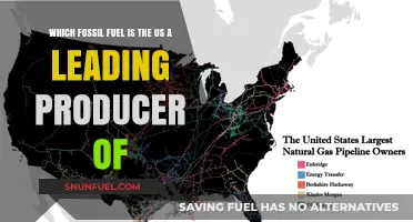 US Dominance in Fossil Fuels: Leading Producer of Natural Gas