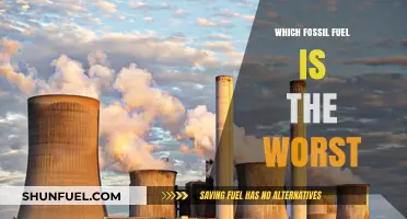 Coal vs. Oil vs. Gas: Ranking the Most Harmful Fossil Fuel