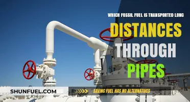 Pipeline Transport: Which Fossil Fuel Travels Longest Distances?