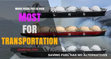 Most Used Fossil Fuel in Transportation: Uncovering the Dominant Energy Source